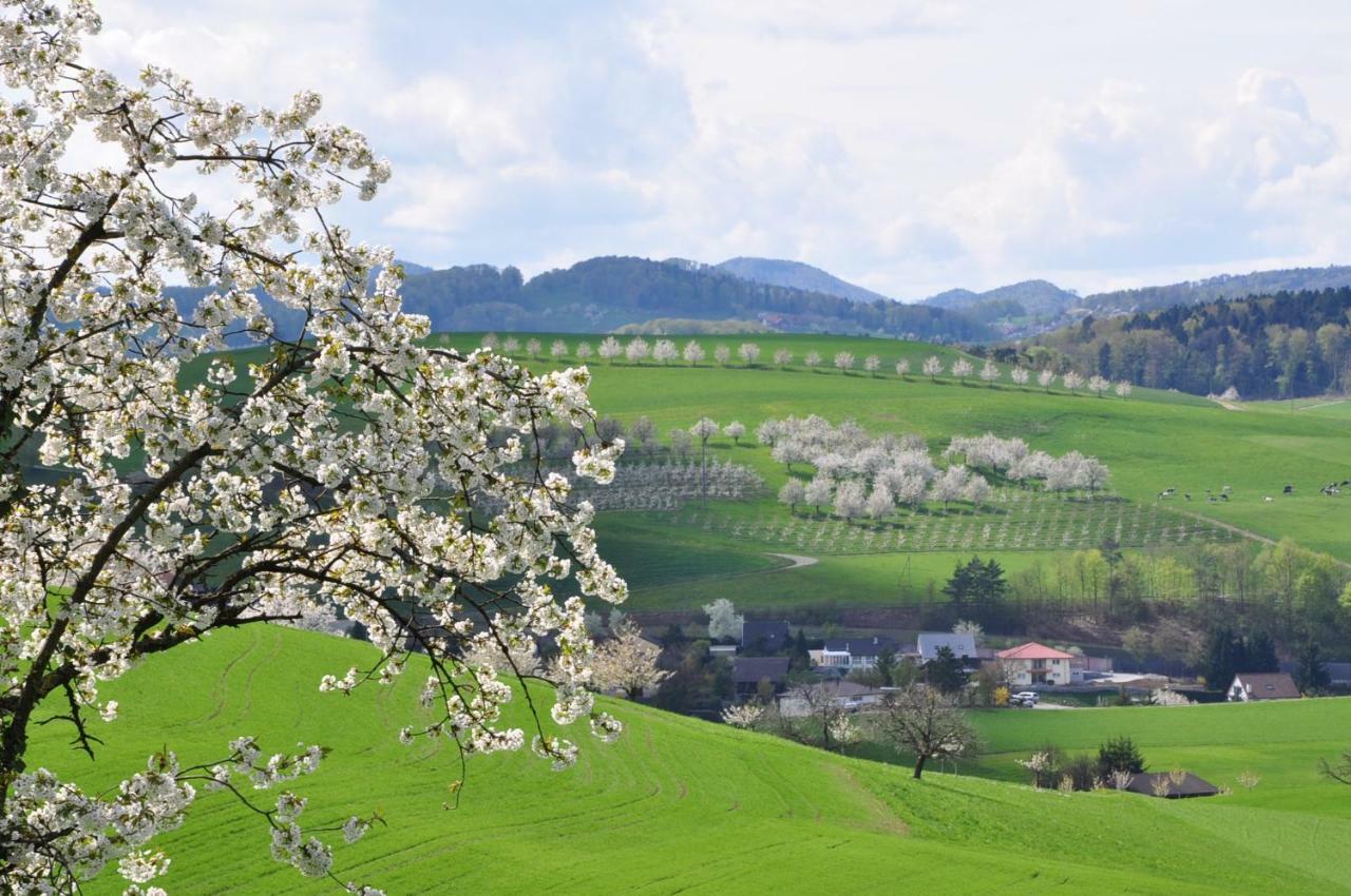 B&B Zum Rossli Zunzgen Buitenkant foto
